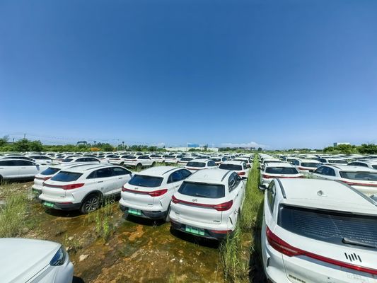 المستخدم المدى 400 كم 160 كيلوواط سيارة كهربائية سبو Weltmeister سيارة مستعملة في حالة جيدة